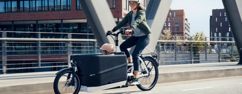 Cargo eBike Range