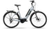 Raleigh Motus LTD