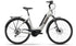 Raleigh Motus LTD Tour