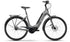 Raleigh Motus LTD Tour Hub