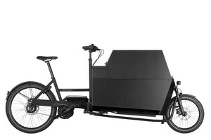 Riese & Müller Transporter 85