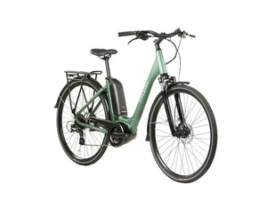 Raleigh Motus Lowstep