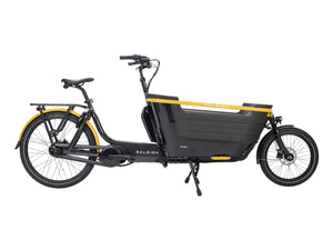 Raleigh Stride 2