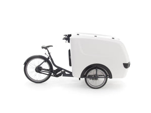 Raleigh Pro Cargo Trike