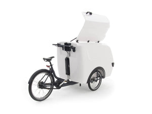 Raleigh Pro Cargo Trike